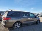 2019 Honda Odyssey EXL