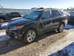 Salvage cars for sale at Dyer, IN auction: 2010 Hyundai Santa FE SE