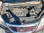 2008 Honda Odyssey EXL