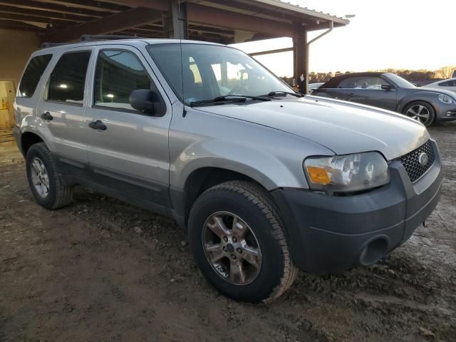 2005 Ford Escape XLT