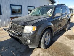 2011 Ford Escape XLT en venta en Pekin, IL