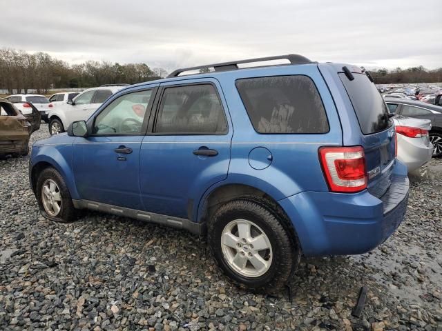 2010 Ford Escape XLT