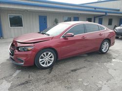 Salvage cars for sale at Fort Pierce, FL auction: 2018 Chevrolet Malibu LT