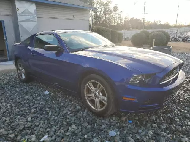 2013 Ford Mustang