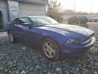 2013 Ford Mustang