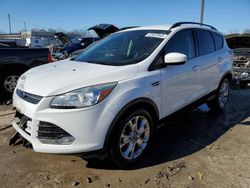 2014 Ford Escape SE en venta en Louisville, KY