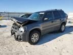 2004 Ford Escape XLT