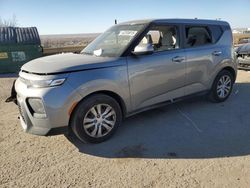 Salvage cars for sale at Albuquerque, NM auction: 2022 KIA Soul LX