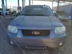 2007 Ford Escape HEV