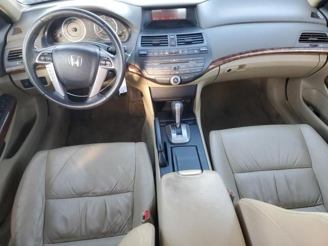 2010 Honda Accord EXL