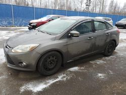 Salvage cars for sale at Moncton, NB auction: 2014 Ford Focus SE