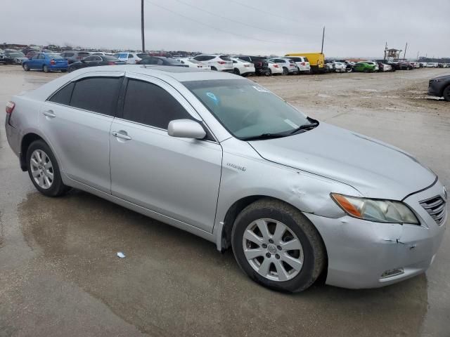 2009 Toyota Camry Hybrid