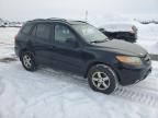 2007 Hyundai Santa FE GL