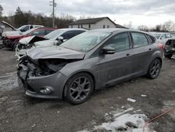 Salvage cars for sale at York Haven, PA auction: 2013 Ford Focus SE