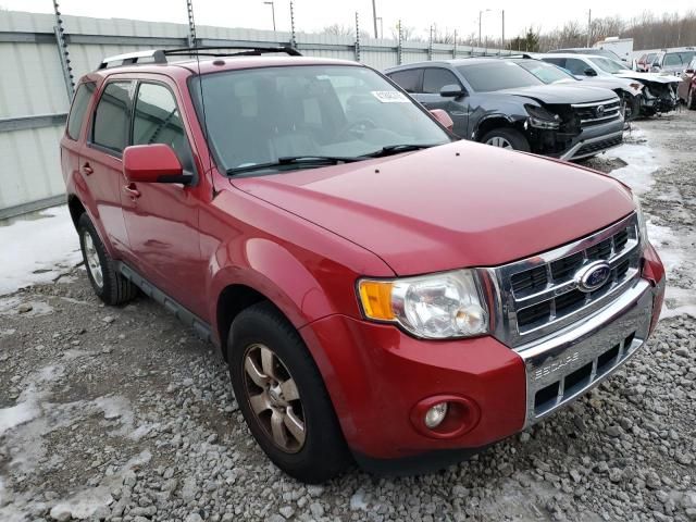 2011 Ford Escape Limited