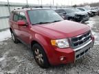 2011 Ford Escape Limited