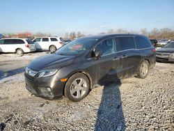 Carros salvage a la venta en subasta: 2019 Honda Odyssey EXL