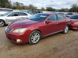 Salvage cars for sale at Theodore, AL auction: 2011 Lexus ES 350