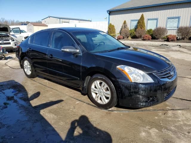 2010 Nissan Altima Base