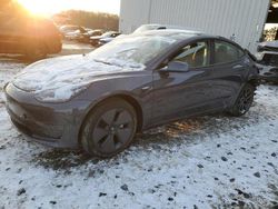 Salvage cars for sale from Copart Windsor, NJ: 2023 Tesla Model 3