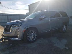 SUV salvage a la venta en subasta: 2024 Cadillac Escalade ESV Premium Luxury