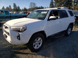 2023 Toyota 4runner SE en venta en Graham, WA