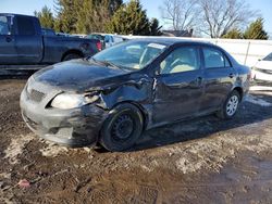 Salvage Cars with No Bids Yet For Sale at auction: 2010 Toyota Corolla Base