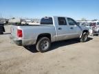 2007 Dodge Dakota Quattro