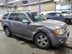 2008 Ford Escape Limited