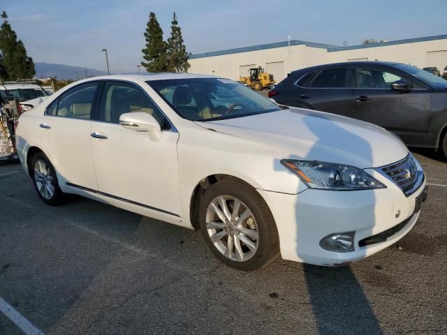 2010 Lexus ES 350