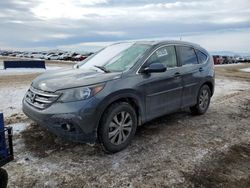 Salvage cars for sale at Brighton, CO auction: 2012 Honda CR-V EXL