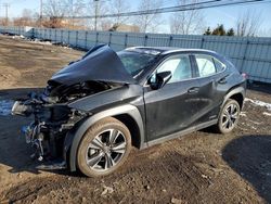 Lexus salvage cars for sale: 2021 Lexus UX 250H