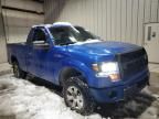 2013 Ford F150