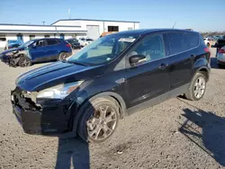 Salvage cars for sale at Lumberton, NC auction: 2013 Ford Escape SEL