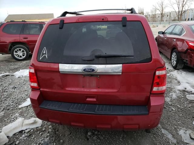 2011 Ford Escape Limited