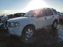 Compre carros salvage a la venta ahora en subasta: 2012 Ford Escape XLT