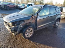 Salvage cars for sale at Portland, OR auction: 2016 Ford Escape SE