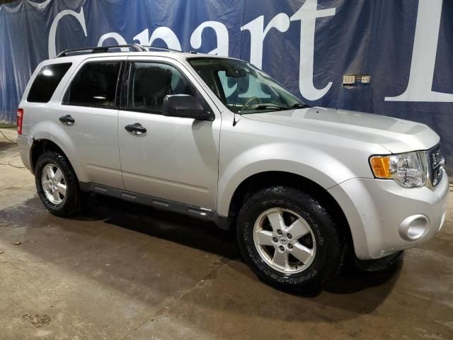 2009 Ford Escape XLT