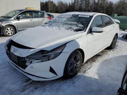 Salvage cars for sale at Cookstown, ON auction: 2021 Hyundai Elantra SEL