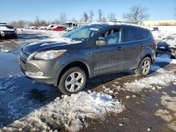 Salvage cars for sale at Bridgeton, MO auction: 2015 Ford Escape SE