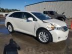 2009 Toyota Venza