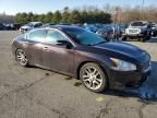 2010 Nissan Maxima S