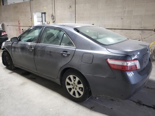 2009 Toyota Camry Hybrid