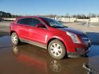 2011 Cadillac SRX Luxury Collection