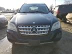 2010 Mercedes-Benz ML 350