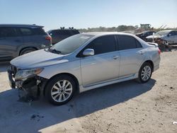 Salvage cars for sale from Copart West Palm Beach, FL: 2010 Toyota Corolla Base