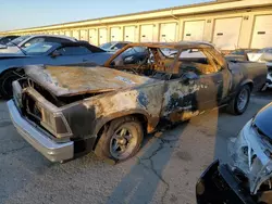 Carros salvage a la venta en subasta: 1981 Chevrolet EL Camino