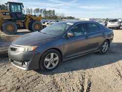 Salvage cars for sale from Copart Harleyville, SC: 2013 Toyota Camry L