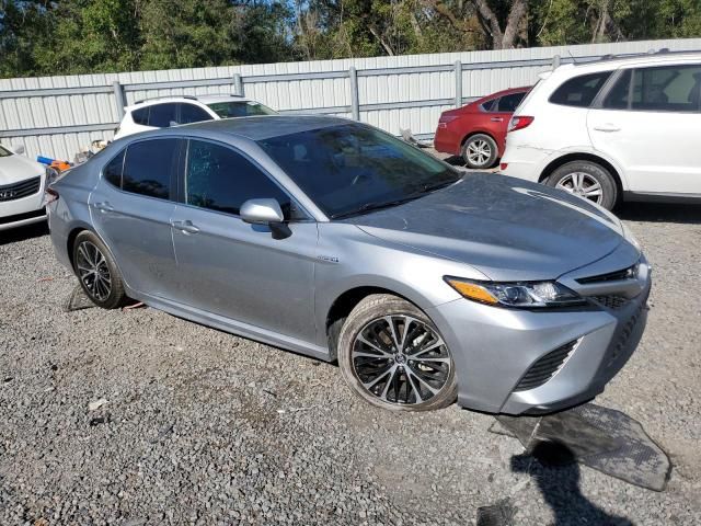 2019 Toyota Camry Hybrid