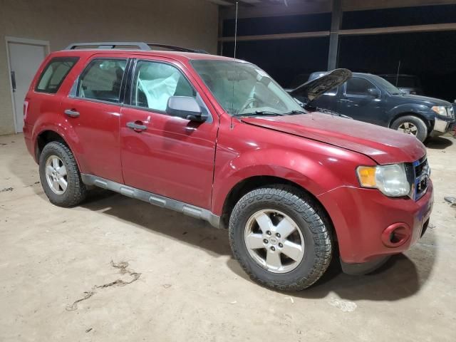 2010 Ford Escape XLS